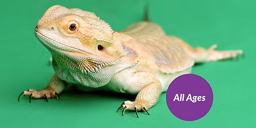 Reptile Encounters with Bobby G. Pets