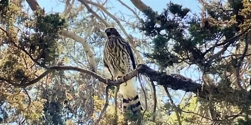 Summer Nature Walk @ Fairhaven Memorial Park