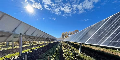 Solar Drinks Toronto
