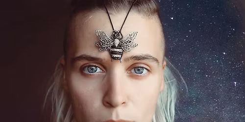 MuseArt with Apis Mellifera