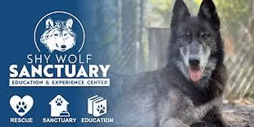 Women Veteran Warriors at Shy Wolf Sanctuary