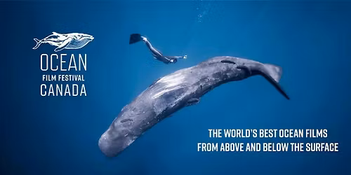 Ocean Film Festival Canada