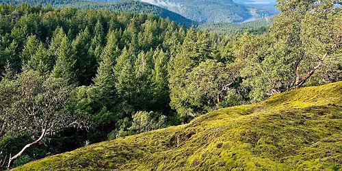 Meditation with the Earth in Mind - 5 days in beautiful private forest