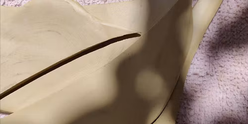 Hand building pottery workshop