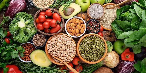 May the Plants Be With You with Toussaint Stewart