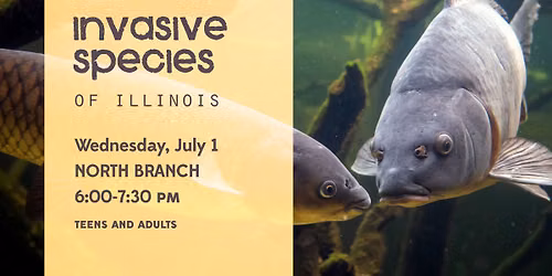 Invasive Species of Illinois 
