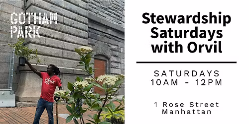 Stewardship Saturday at Gotham Park (Garden & Clean Up)