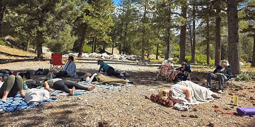 Forest Bathing and Sound Bath in Mt. Charleston: A Summer Calm Experience