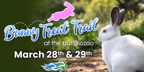 Bunny Treat Trail