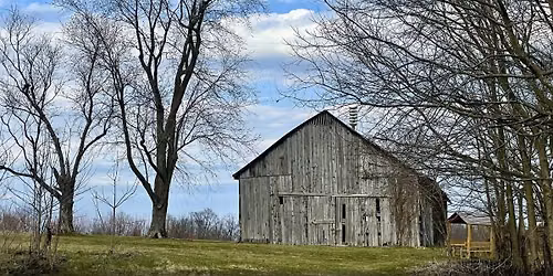 Evening Bird Walk at Hisle Farm Park