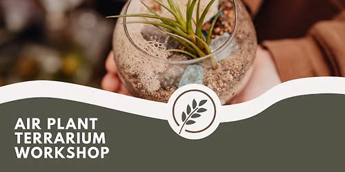 Air Plant Terrarium Workshop