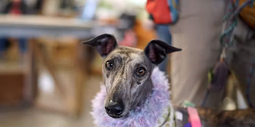 December Meet and Greet at North Spokane PetSmart