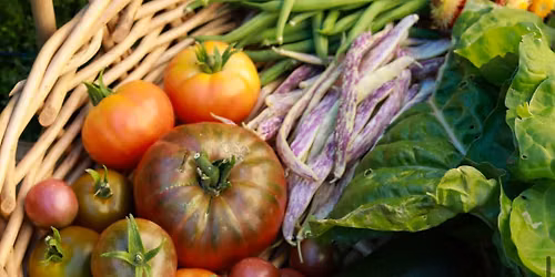 Harvest Market 