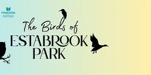 The Birds of Estabrook Park