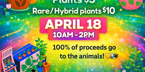 GIANT PLANT SALE
