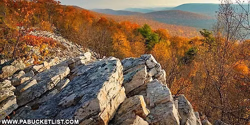 Centre County Community Hunger Mapping Report Launch