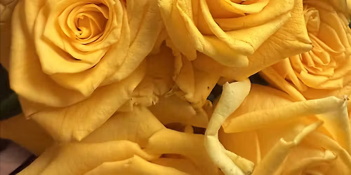 THE TRAITORS: LIVE M**der MYSTERY GAME NIGHT