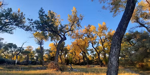 Community Volunteer Day! (Buckthorn Bandits)
