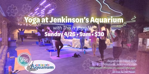 Yoga at Jenkinson's Aquarium