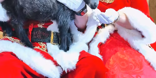 Santa experience at Pygmy Harbor Farm 