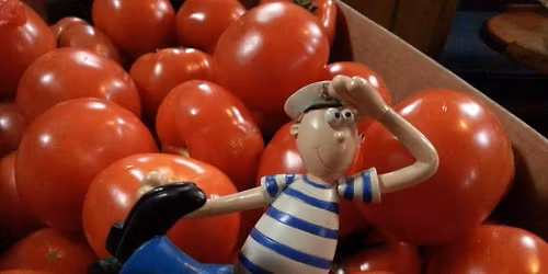 REJS MORSKI: \u015aWINOUJ\u015aCIE-BORNHOLM-HANO-KARLSKRONA-GDYNIA 05.09-12.09.2026