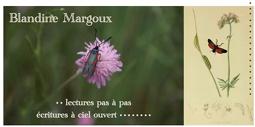 Vrilles, virages, virgules, hirondelles \u2022 Atelier d'\u00e9criture