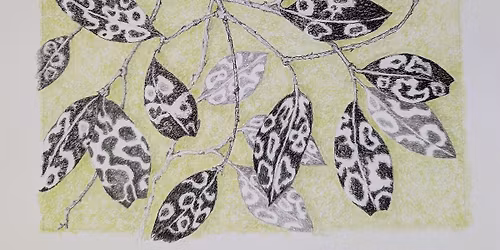 The Architecture of Nature: A Graphite Study Workshop