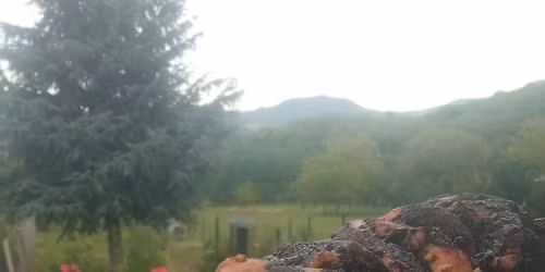 Kov\u00e1szos citromos kal\u00e1cs \u00e9s babka workshop+Hangt\u00e1lf\u00fcrd\u0151 Kittivel