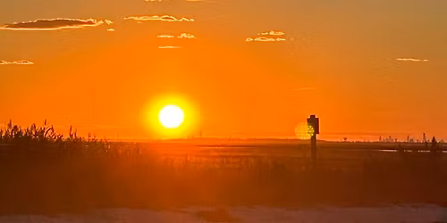 Challah Bake Blooms and Blossoms 