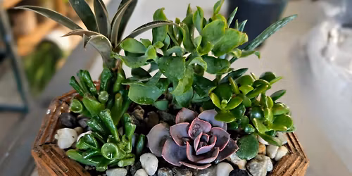 Oakdale Morning Market