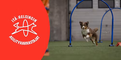 I-HAH Hoopers-kilpailut 15.3.2026