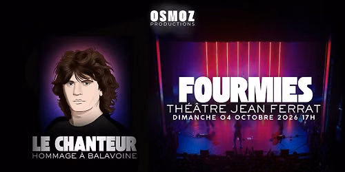 LE CHANTEUR - HOMMAGE A BALAVOINE - THEATRE JEAN FERRAT - FOURMIES