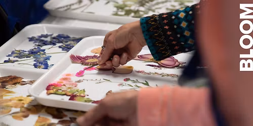 Preserved Blooms: Framed Florals for the Home