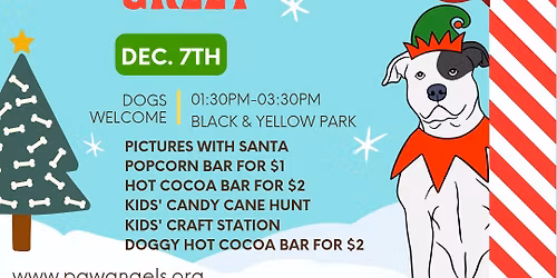 CHRISTMAS with Paw Angels