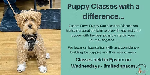 Epsom Paws Puppy Socialisation Classes - April