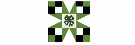 Barn Quilt Creations Workshop 4-H Series Contact Purdue Extension 219-465-3555.