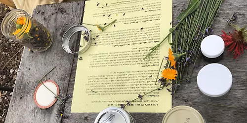 Summer Savvy with Herbs