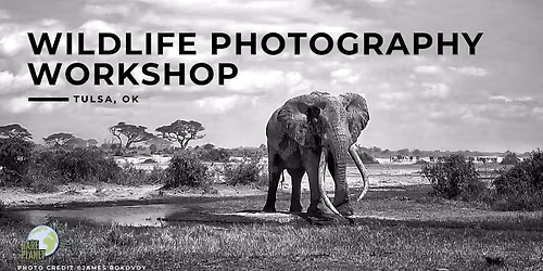 Wildlife Photography Workshop - Tulsa