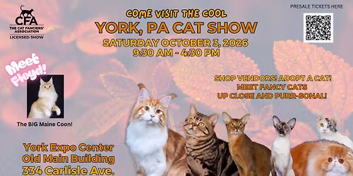 Come visit the cool York, PA Cat Show!