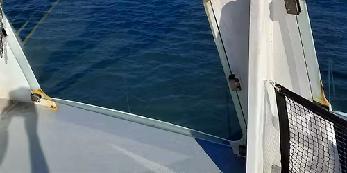 Windrush Rally in The House of Commons, 5 pm   Wednesday 28th January 2026