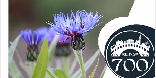 L\u00e6geurtehaven \u2013 en historisk vandring med h\u00f8jtl\u00e6sning