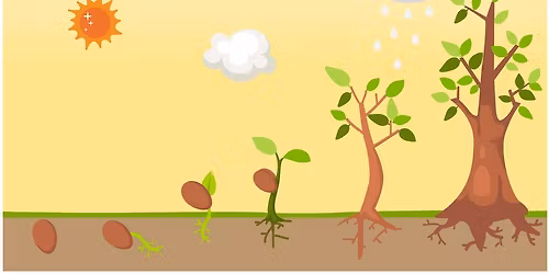 Seeding Hope: A Workshop with Sydel Weinstein