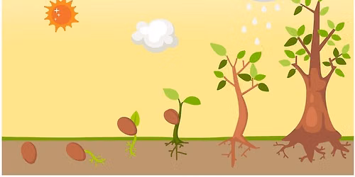 Seeding Hope: A Workshop with Sydel Weinstein