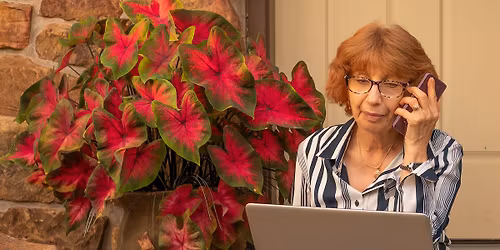 Understanding Fraud & Scams