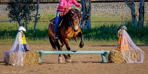 SADDLE UP FOR A DAY OF FUN & GAMES