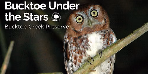 Bucktoe Under the Stars ~ Bucktoe Creek Preserve