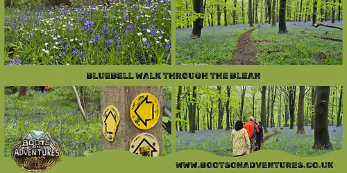 Bluebell Walk through the Blean **FULLY BOOKED**
