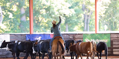 NERHA Intro To Ranch Roping