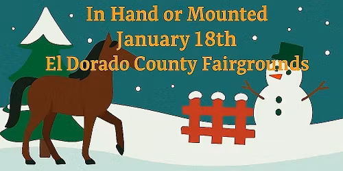 Winter Wonderland Horse Obstacle Challenge