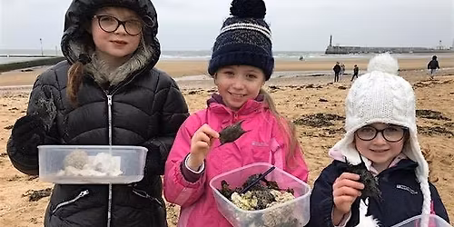 Great Eggcase and Scavenger Hunt with BeachArt - Westbrook Bay, Margate